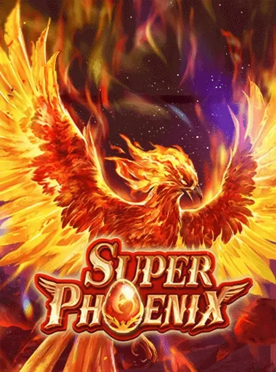 Book of Dead slot game cover from Play'n GO